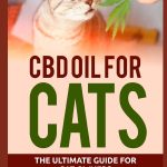 How CBD Oil Can Help Your Cat Feel Better