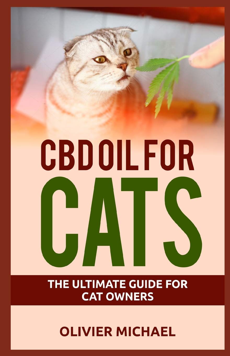 How CBD Oil Can Help Your Cat Feel Better